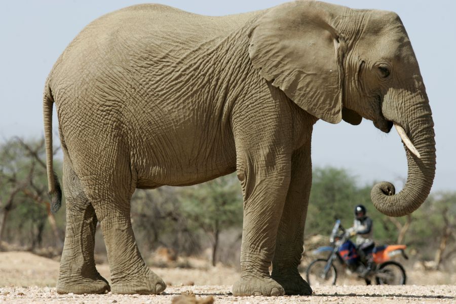 KMS Endurotour Namibia #1